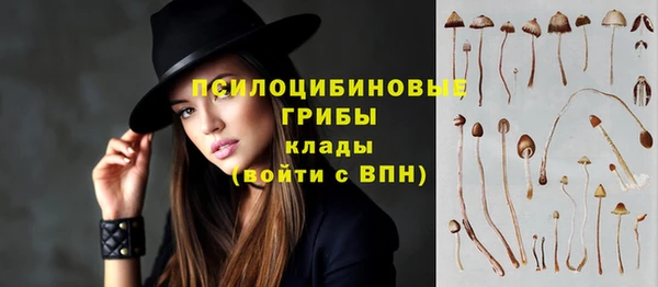 гашиш Бородино